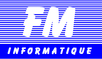 FM Informatique Logo